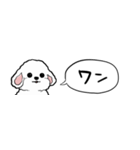 【省スペース】しゃべる白い犬（個別スタンプ：31）