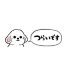 【省スペース】しゃべる白い犬（個別スタンプ：32）