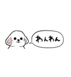 【省スペース】しゃべる白い犬（個別スタンプ：34）