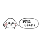 【省スペース】しゃべる白い犬（個別スタンプ：35）