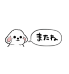 【省スペース】しゃべる白い犬（個別スタンプ：39）