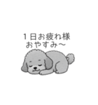 使いやすい長文のトイプードル（個別スタンプ：2）