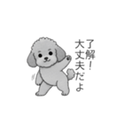 使いやすい長文のトイプードル（個別スタンプ：5）