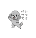 使いやすい長文のトイプードル（個別スタンプ：6）