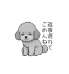 使いやすい長文のトイプードル（個別スタンプ：8）