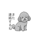 使いやすい長文のトイプードル（個別スタンプ：9）