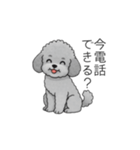 使いやすい長文のトイプードル（個別スタンプ：10）