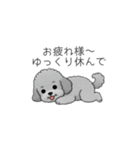 使いやすい長文のトイプードル（個別スタンプ：12）