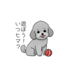 使いやすい長文のトイプードル（個別スタンプ：13）