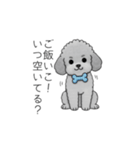 使いやすい長文のトイプードル（個別スタンプ：14）