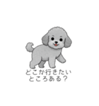 使いやすい長文のトイプードル（個別スタンプ：16）