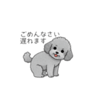 使いやすい長文のトイプードル（個別スタンプ：18）