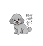 使いやすい長文のトイプードル（個別スタンプ：20）