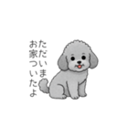 使いやすい長文のトイプードル（個別スタンプ：21）