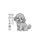使いやすい長文のトイプードル（個別スタンプ：22）