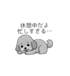 使いやすい長文のトイプードル（個別スタンプ：23）