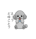 使いやすい長文のトイプードル（個別スタンプ：24）