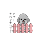 使いやすい長文のトイプードル（個別スタンプ：25）