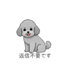 使いやすい長文のトイプードル（個別スタンプ：26）
