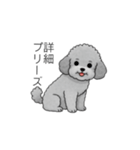 使いやすい長文のトイプードル（個別スタンプ：27）