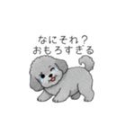 使いやすい長文のトイプードル（個別スタンプ：28）