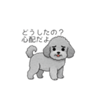 使いやすい長文のトイプードル（個別スタンプ：29）