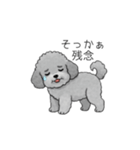使いやすい長文のトイプードル（個別スタンプ：30）