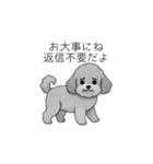 使いやすい長文のトイプードル（個別スタンプ：31）