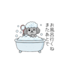 使いやすい長文のトイプードル（個別スタンプ：33）