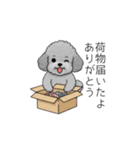 使いやすい長文のトイプードル（個別スタンプ：34）