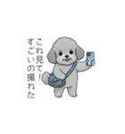 使いやすい長文のトイプードル（個別スタンプ：36）