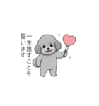 使いやすい長文のトイプードル（個別スタンプ：37）
