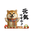 コミカルに動く柴犬（秋→冬 編）（個別スタンプ：2）