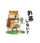 コミカルに動く柴犬（秋→冬 編）（個別スタンプ：3）