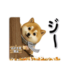 コミカルに動く柴犬（秋→冬 編）（個別スタンプ：4）