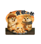 コミカルに動く柴犬（秋→冬 編）（個別スタンプ：7）