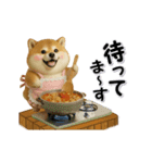 コミカルに動く柴犬（秋→冬 編）（個別スタンプ：8）