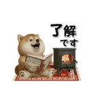 コミカルに動く柴犬（秋→冬 編）（個別スタンプ：10）