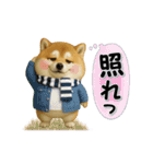 コミカルに動く柴犬（秋→冬 編）（個別スタンプ：16）
