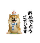 コミカルに動く柴犬（秋→冬 編）（個別スタンプ：18）