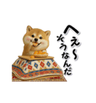 コミカルに動く柴犬（秋→冬 編）（個別スタンプ：20）