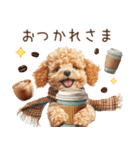 家族連絡用トイプードルのスタンプ（冬）（個別スタンプ：1）