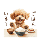 家族連絡用トイプードルのスタンプ（冬）（個別スタンプ：5）