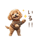 家族連絡用トイプードルのスタンプ（冬）（個別スタンプ：6）