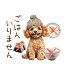 家族連絡用トイプードルのスタンプ（冬）（個別スタンプ：7）