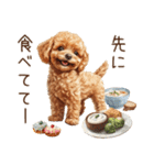 家族連絡用トイプードルのスタンプ（冬）（個別スタンプ：8）