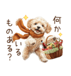 家族連絡用トイプードルのスタンプ（冬）（個別スタンプ：12）