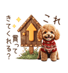 家族連絡用トイプードルのスタンプ（冬）（個別スタンプ：13）