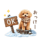 家族連絡用トイプードルのスタンプ（冬）（個別スタンプ：14）