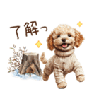 家族連絡用トイプードルのスタンプ（冬）（個別スタンプ：16）